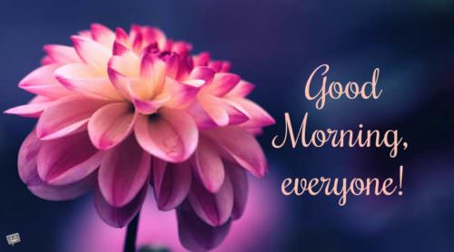 Good morning picture to say hi to friends. | Birthday Wishes Expert Good Morning, Everyone!