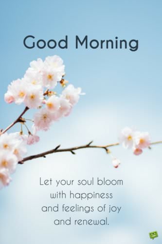 Good morning. Let your soul bloom with happiness and feelings of joy and renewal.