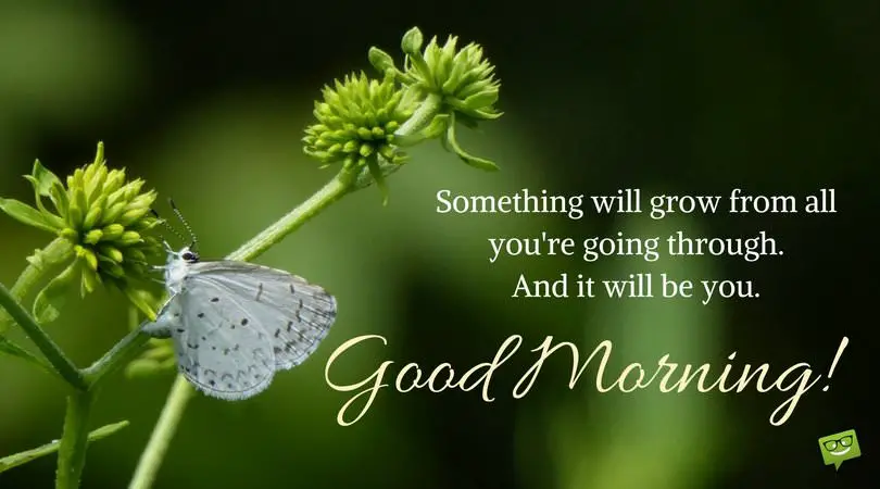 Something will grow from all you are going through, and it will be You! Good Morning.