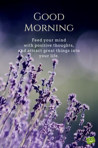 Good morning. Feed your mind with positive thoughts and attract great things into your life.