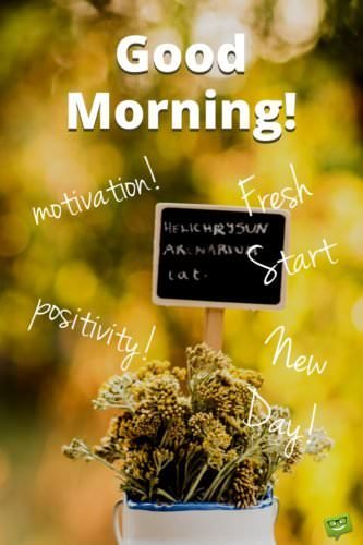 Fresh Inspirational Good Morning Quotes for the Day Get Fresh Inspirational Good Morning Quotes for the Day Get
