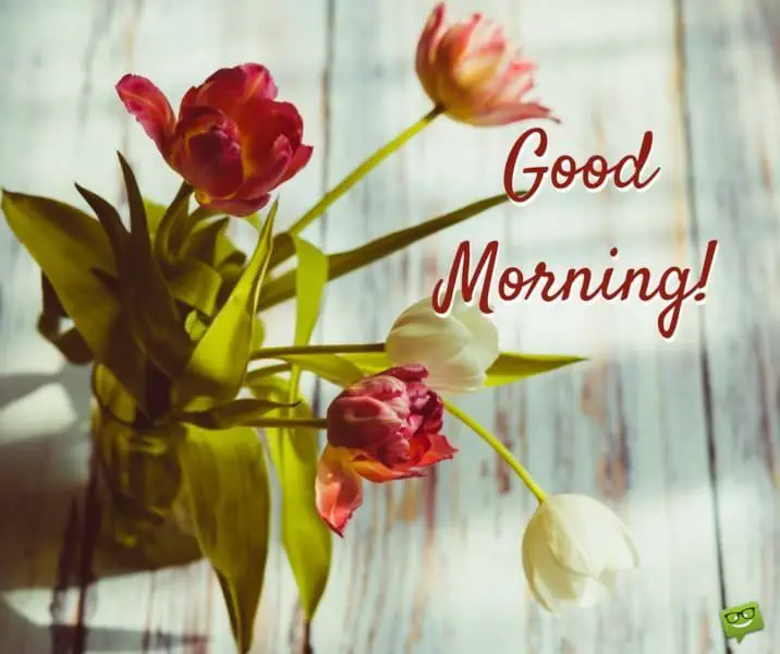 Uplifting Good Morning Quotes to Start on the Bright Side Uplifting Good Morning Quotes to Start on the Bright Side