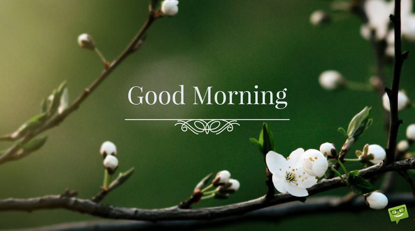 Uplifting Good Morning Quotes to Start on the Bright Side Uplifting Good Morning Quotes to Start on the Bright Side