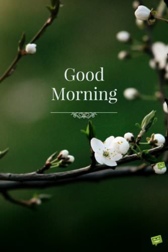 Featured image of post Positive Fresh Good Morning Quotes - When you start each day with a grateful heart… rise up, start fresh see the bright opportunity in each day having a rough morning?