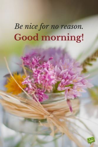 Be nice for no reason. Good Morning.