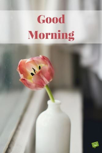 Fresh Inspirational Good Morning Quotes for the Day Get Fresh Inspirational Good Morning Quotes for the Day Get