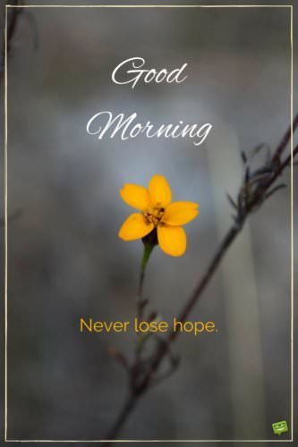Good morning. Never lose hope.