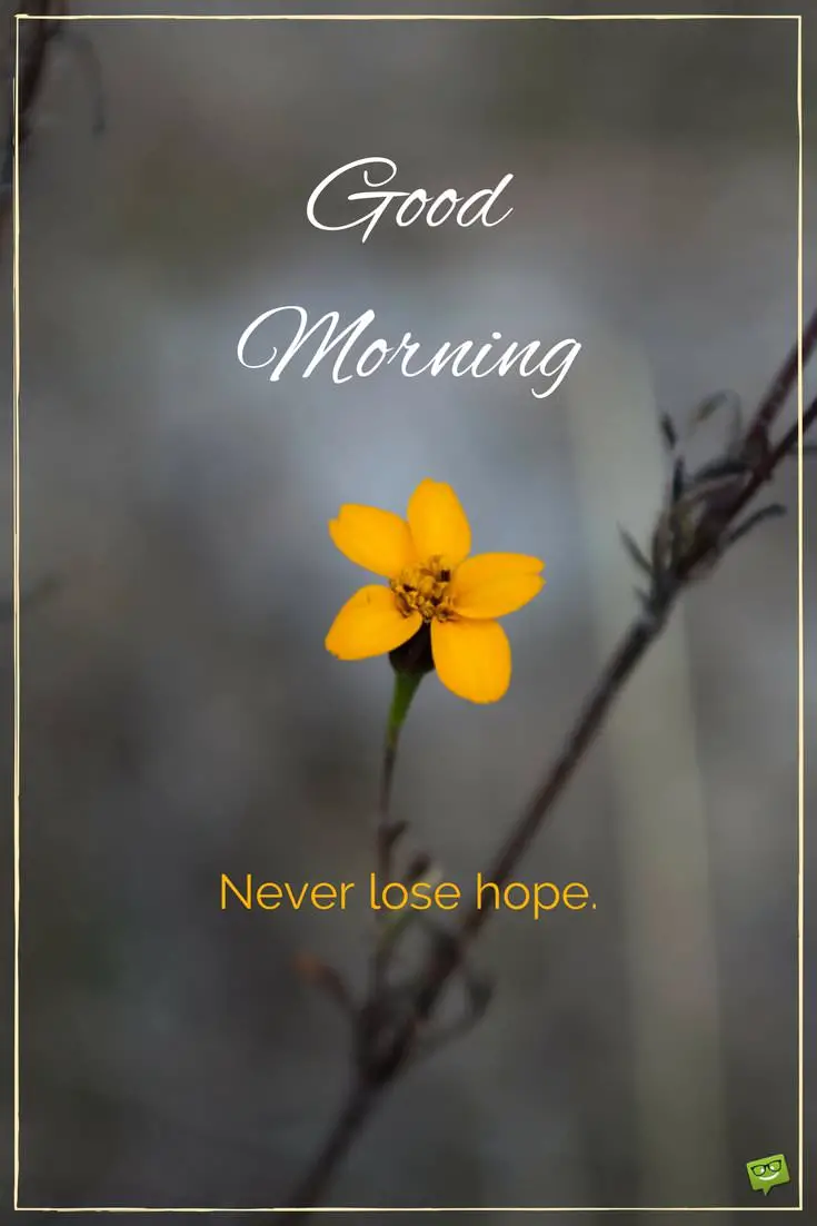 Good Morning Picture With Yellow Flower And Quote About Having