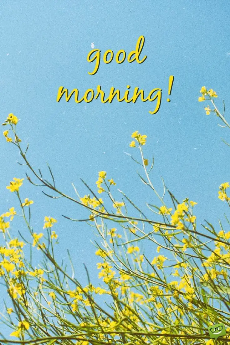 goodmorning图片壁纸-千图网