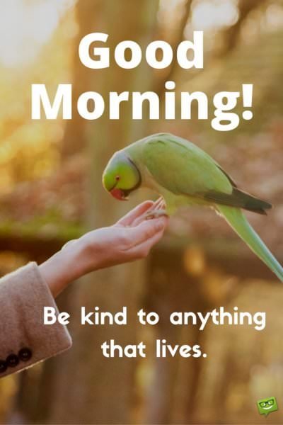 Good morning quote about being kind and positive. | Birthday Wishes Expert Good morning. Be kind to anything that lives.