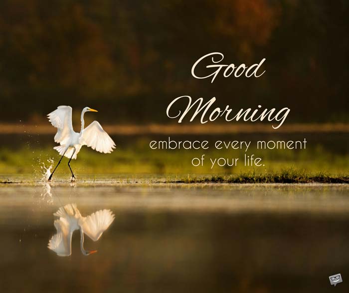 Fresh Inspirational Good Morning Quotes for the Day Get