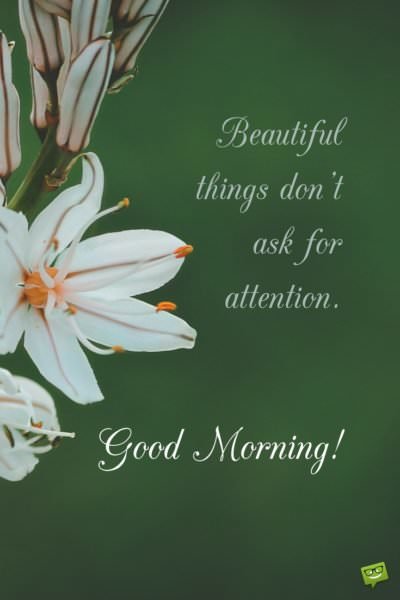 Beautiful things don't ask for attention. Good Morning!