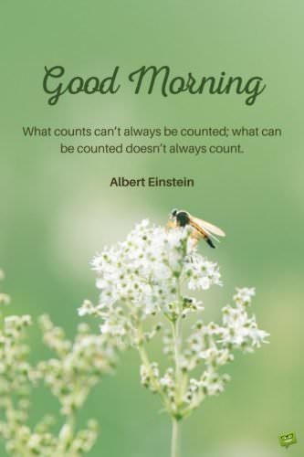 Good morning. What counts can't always be counted and what can be counted doesn't always counts. Albert Einstein.