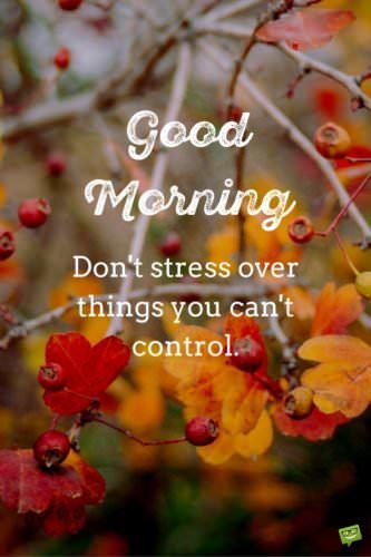 Good morning. Don't stress over things you can't control.