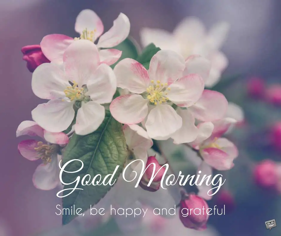 Fresh Inspirational Good Morning Quotes for the Day  Get 