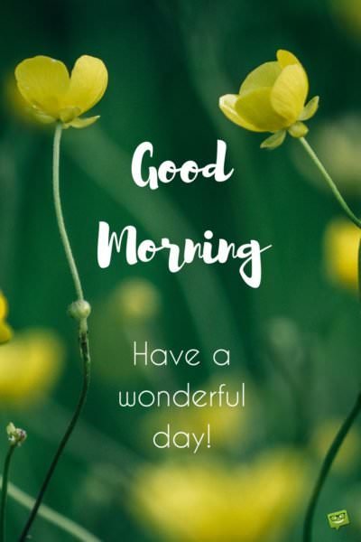 Good morning wish on picture with fresh yellow flowers. | Birthday Wishes Expert Good morning. Have a wonderful day!