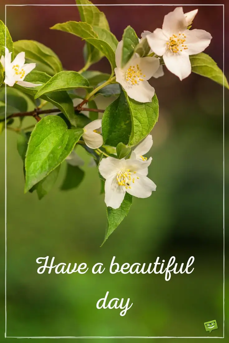 Fresh Inspirational Good Morning Quotes for the Day Get Fresh Inspirational Good Morning Quotes for the Day Get