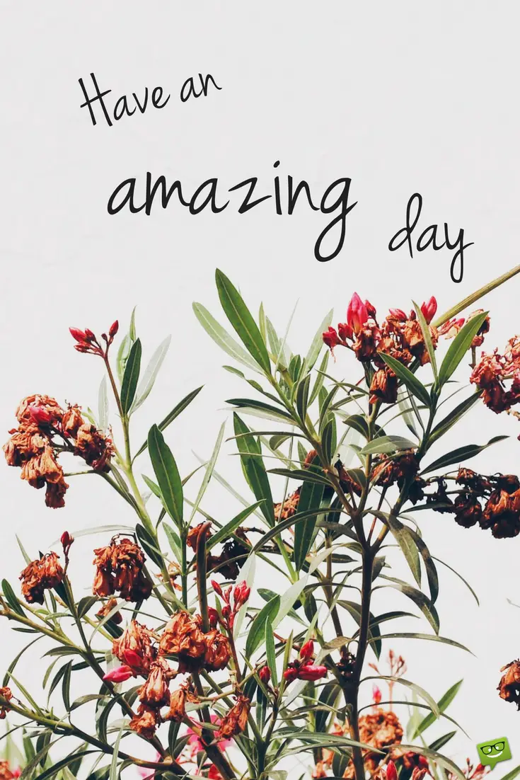 Have An Amazing Day Pic 1 have an amazing day pic 1