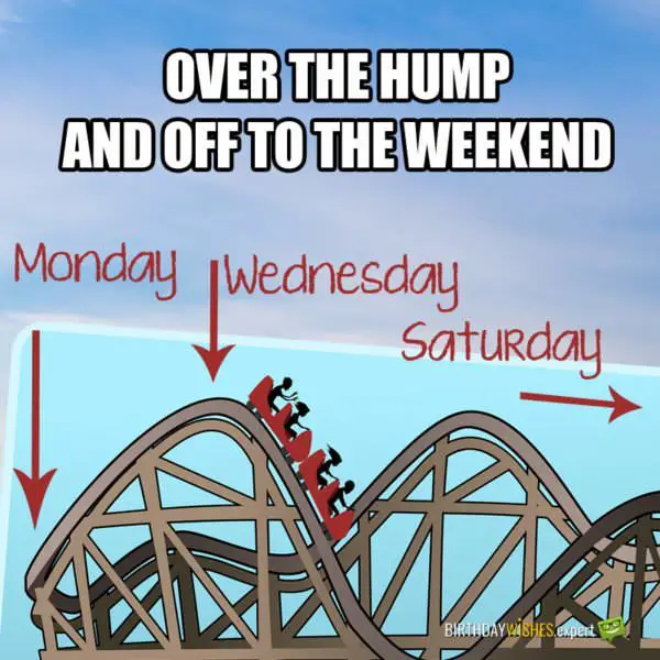 Over the Hump and off to the weekend!