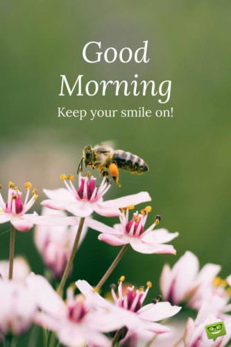 Good Morning. Keep your smile on!