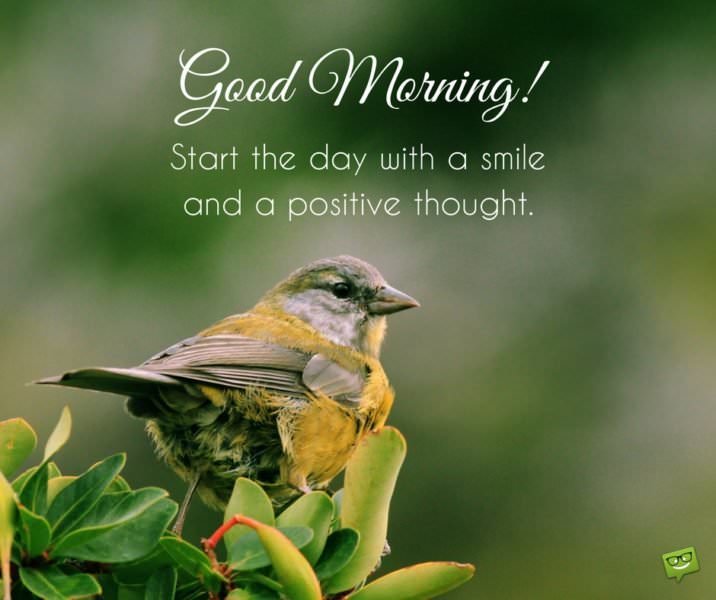 Good Morning! Start the day with a smile and a positive thought.