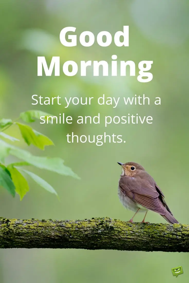 good morning start your day with a smile and positive thoughts Good Morning Quotes