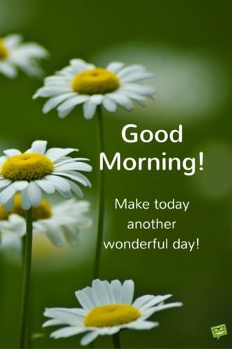 Good Morning. Make today another wonderful day!