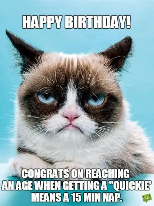 101 Best Happy Birthday Memes To Share With Friends And Family In 2019