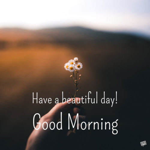 Fresh Inspirational Good Morning Quotes for the Day | Get on the Right