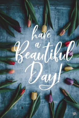 Have a beautiful day!