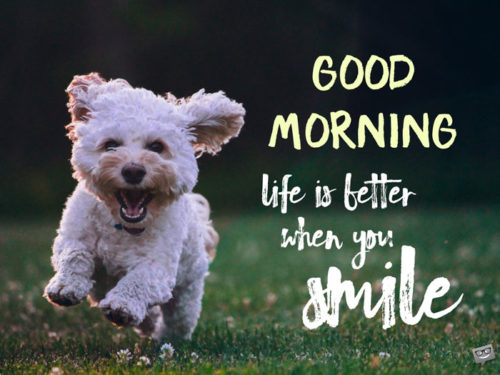 Good morning. Life is better when you smile.