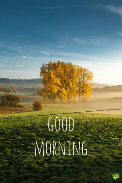 Fresh Inspirational Good Morning Quotes for the Day - Part 9 Fresh Inspirational Good Morning Quotes for the Day - Part 9