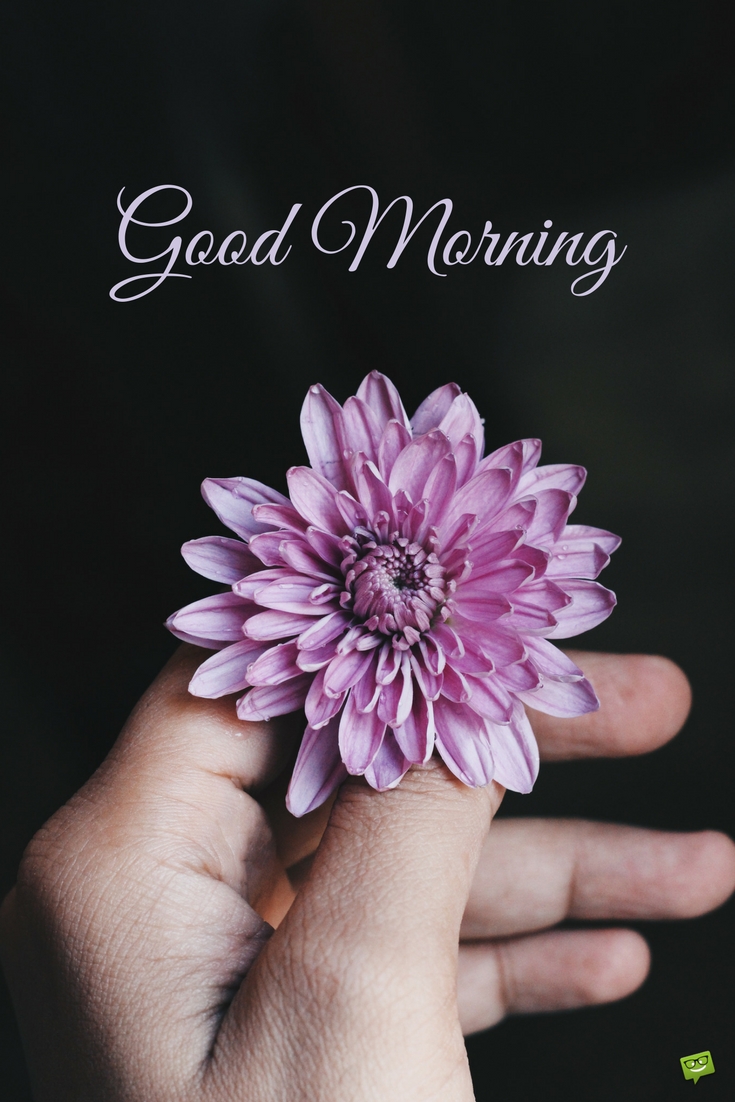 Good Morning Beautiful Purple Flower