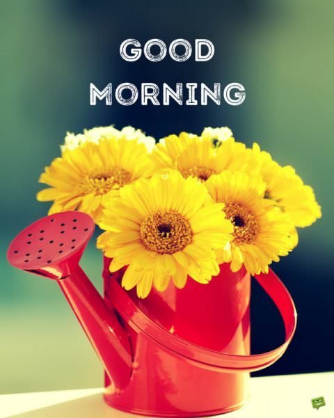 Uplifting Good Morning Quotes to Start on the Bright Side Uplifting Good Morning Quotes to Start on the Bright Side