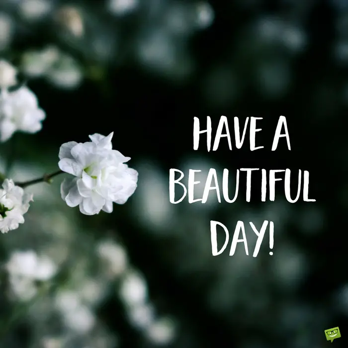 42 Good Morning Quotes For Instagram