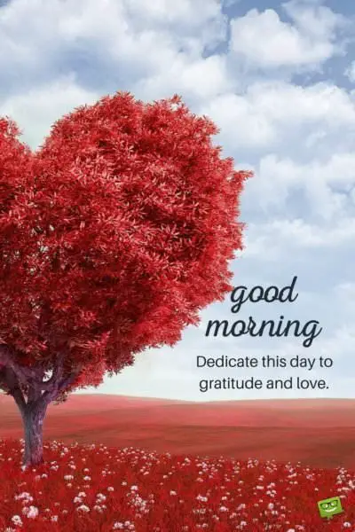 Fresh Inspirational Good Morning Quotes for the Day | Get on the Right