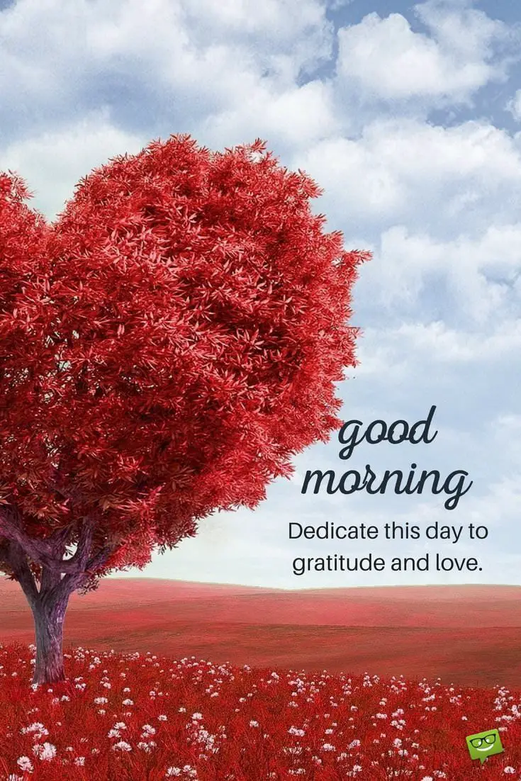 Good morning Dedicate this day to gratitude and love