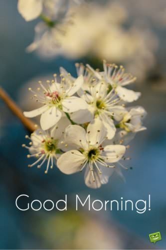 Fresh Inspirational Good Morning Quotes for the Day Get Fresh Inspirational Good Morning Quotes for the Day Get
