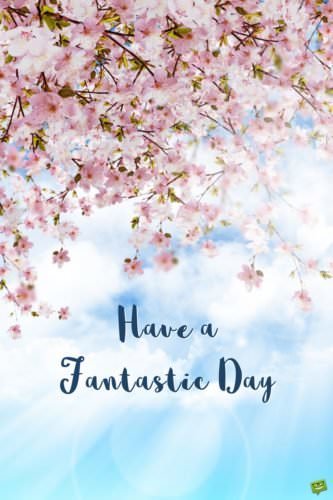 Have a fantastic day. 