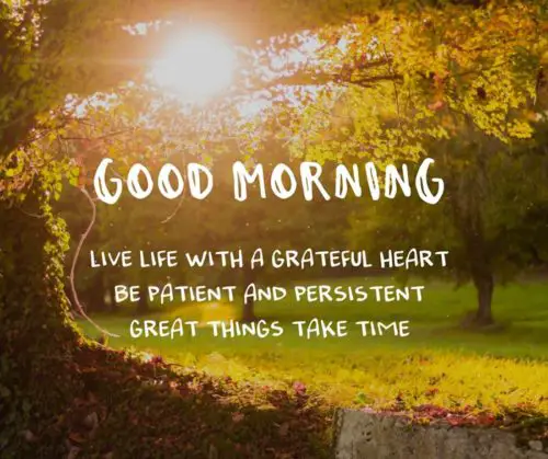 Good Morning. Live life with a grateful heart. Be patient and persistent. Great things take time.