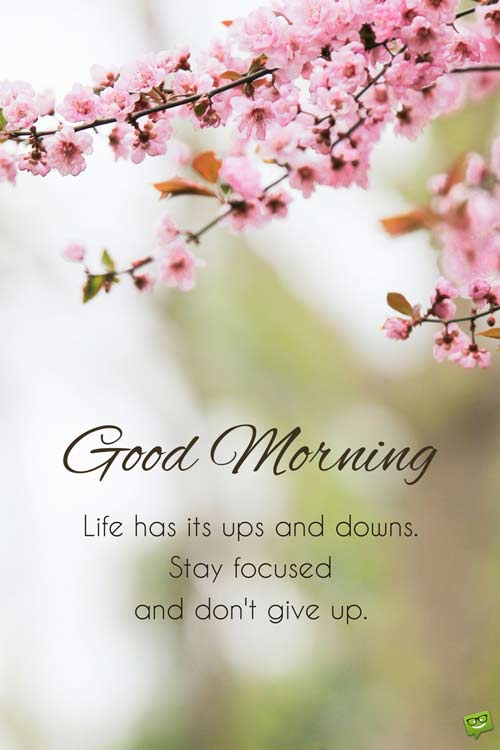 Fresh Inspirational Good Morning Quotes for the Day Get Fresh Inspirational Good Morning Quotes for the Day Get