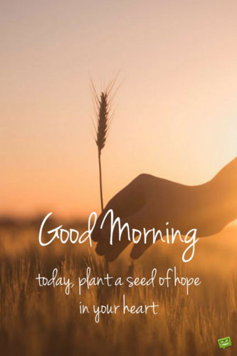 Good Morning. Today, plant a seed of hope in your heart.