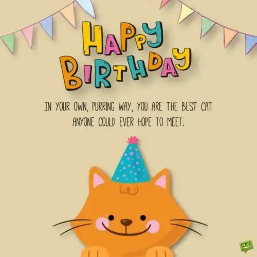 Happy Birthday! In your own, purring way, you are the best cat anyone could ever hope to meet.