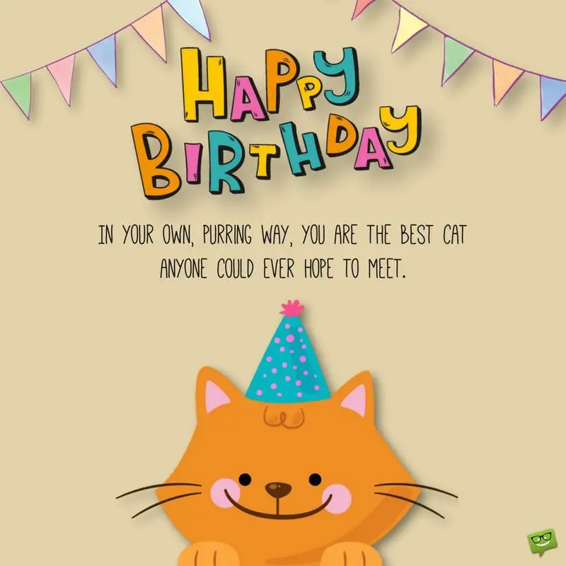 happy birthday cute quotes