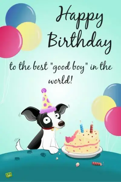 Happy Birthday to the best "good boy" in the world!