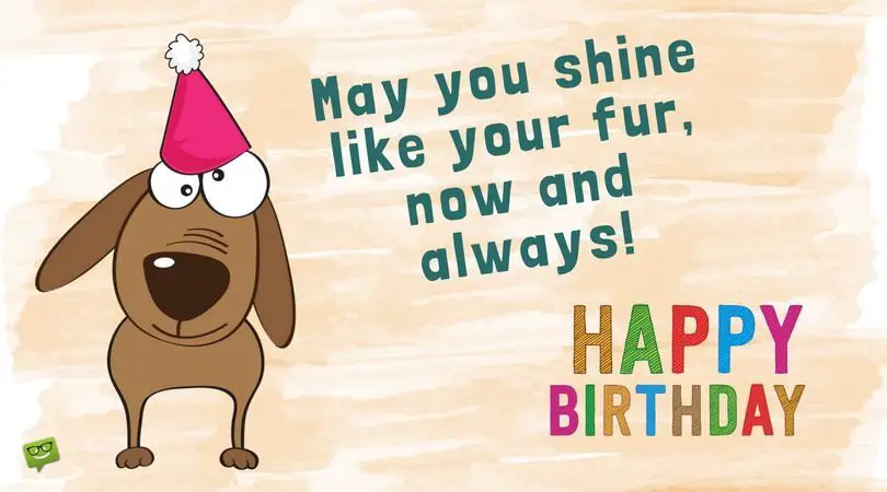 Heart Touching, Cute Wishes for your Dog's or Cat's Birthday