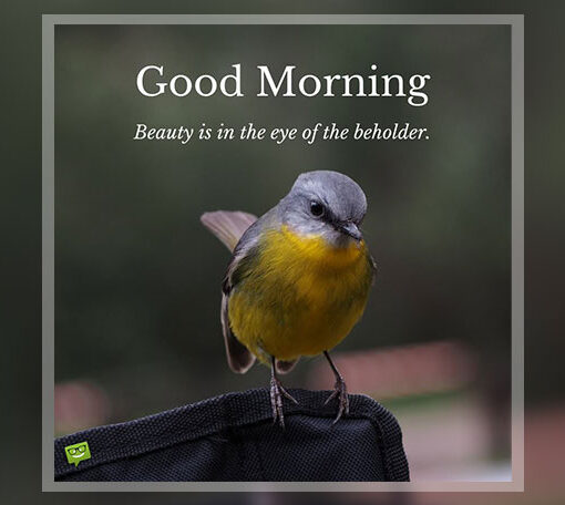 Good Morning quotes with birds.