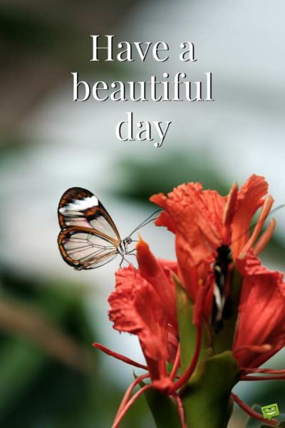 Have a beautiful day. | Birthday Wishes Expert Have a beautiful day.