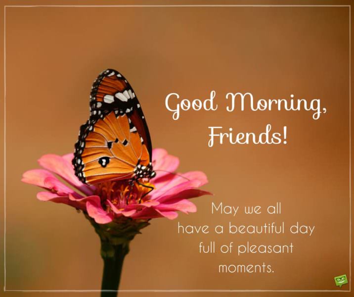 Good morning, friends! May we all have a day full of pleasant moments.