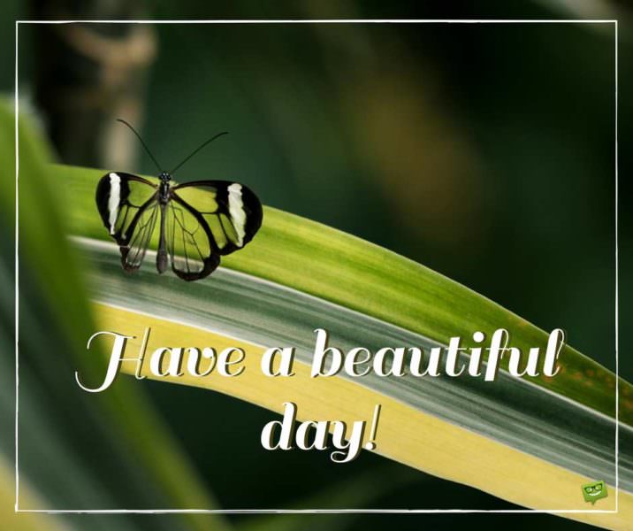 Have a beautiful day.